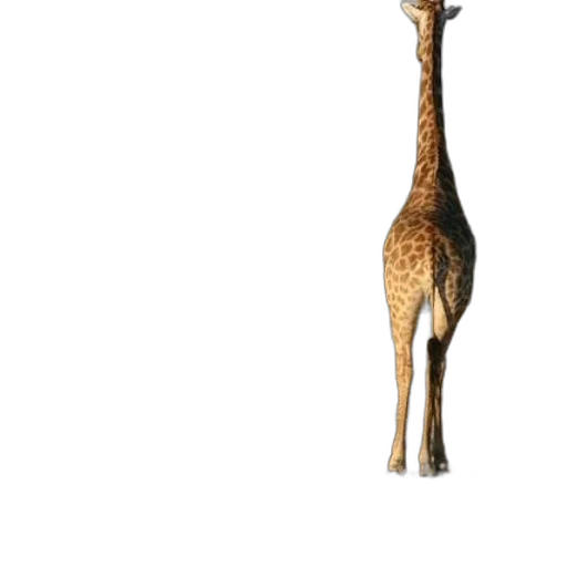 animal, staff, creature, weapon transparent PNG cut-out