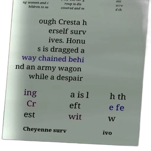 dragon, creature, poster, text transparent PNG cut-out