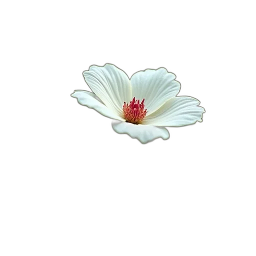 flower, jewelry, crown, staff transparent PNG cut-out