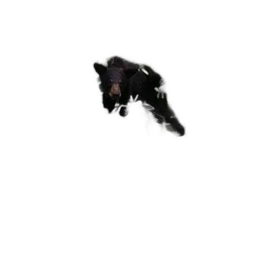 animal, creature, dragon, robot transparent PNG cut-out