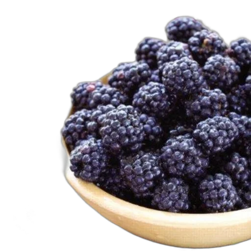food, crown, blue, dark transparent PNG cut-out