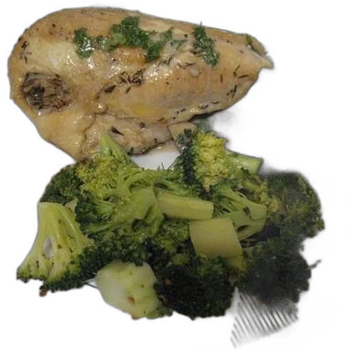 food, animal, face, jacket transparent PNG cut-out
