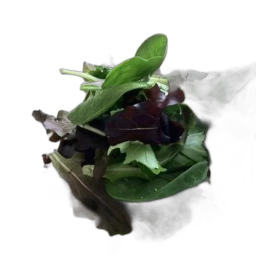 food, crown, mask, animal transparent PNG cut-out