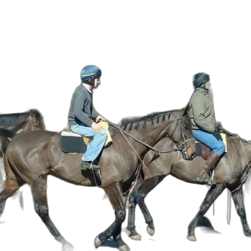 concept art, 3d render, photorealistic, two transparent PNG cut-out