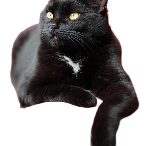 animal, staff, creature, crown transparent PNG cut-out
