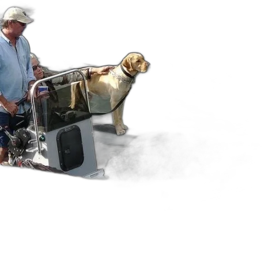 animal, robot, photorealistic, dog transparent PNG cut-out
