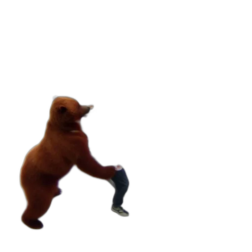 animal, creature, shoes, staff transparent PNG cut-out