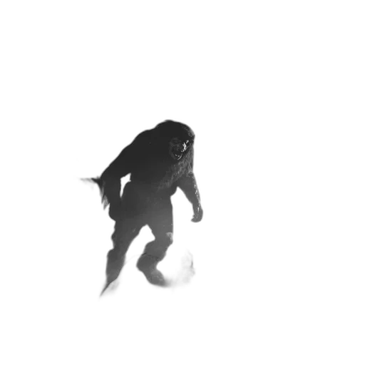creature, animal, dragon, mask transparent PNG cut-out