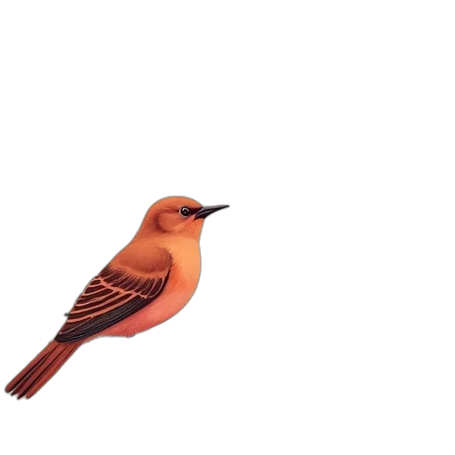 animal, food, staff, creature transparent PNG cut-out