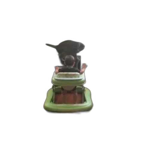 hat, animal, staff, furniture transparent PNG cut-out