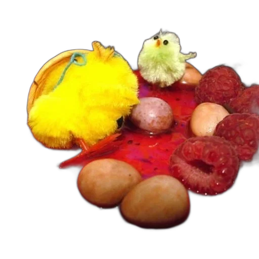 food, animal, photorealistic, 3d render transparent PNG cut-out