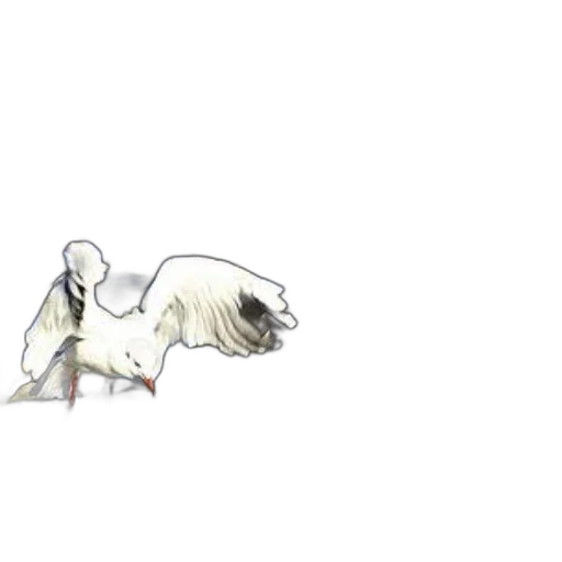 animal, creature, dragon, staff transparent PNG cut-out