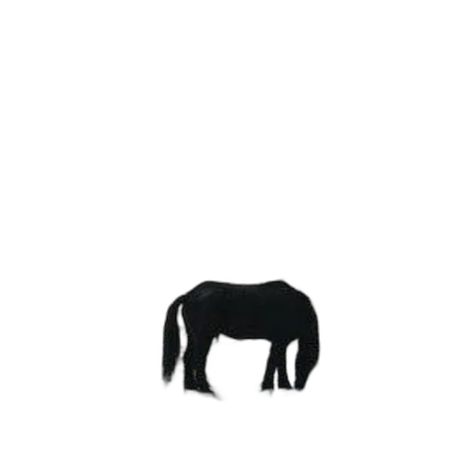 animal, creature, hair, furniture transparent PNG cut-out