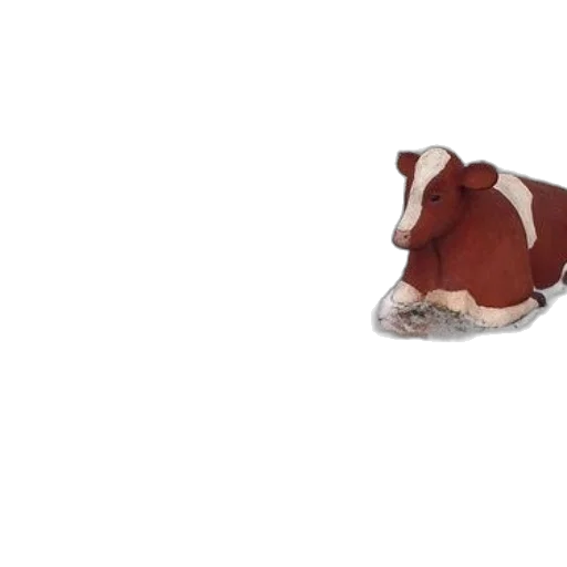 animal, food, creature, shoes transparent PNG cut-out