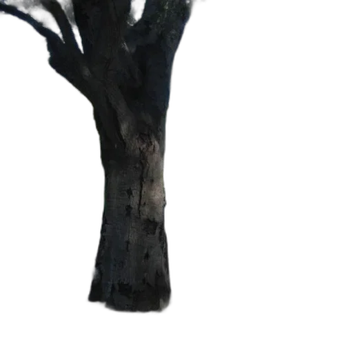 tree, staff, crown, mask transparent PNG cut-out