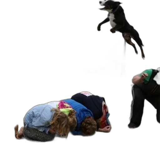 animal, dog, jumps, over transparent PNG cut-out