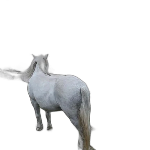 animal, creature, dragon, staff transparent PNG cut-out