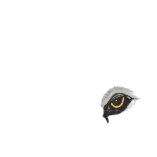 animal, hat, mask, face transparent PNG cut-out