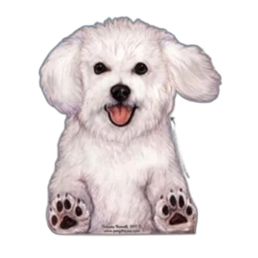 animal, staff, photorealistic, oil painting transparent PNG cut-out
