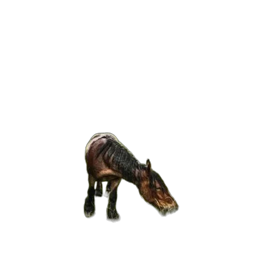 animal, creature, dragon, furniture transparent PNG cut-out