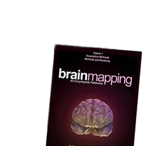 three, volumes, brain, mapping transparent PNG cut-out
