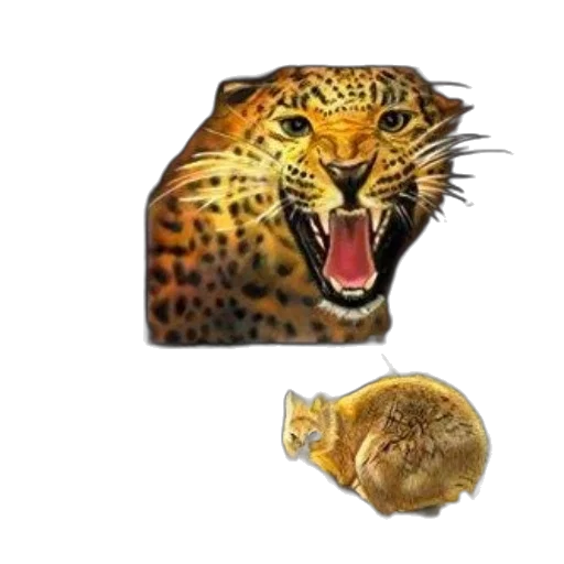 jewelry, animal, food, crown transparent PNG cut-out
