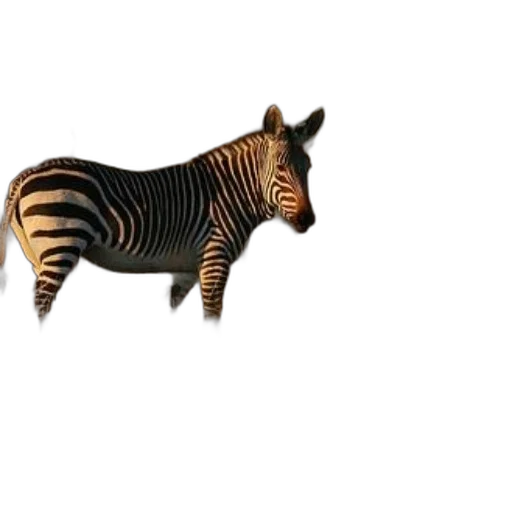 animal, creature, furniture, dragon transparent PNG cut-out
