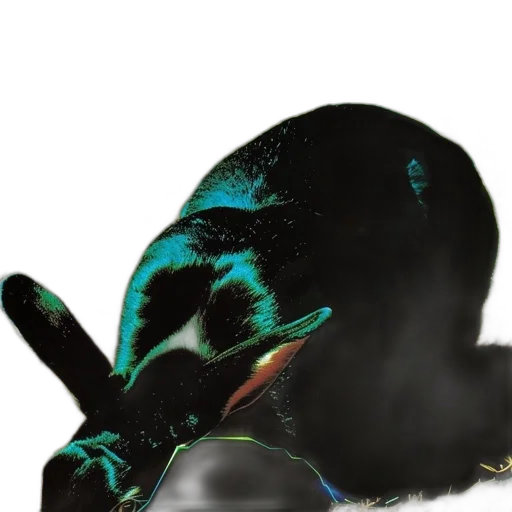 mask, animal, hat, creature transparent PNG cut-out