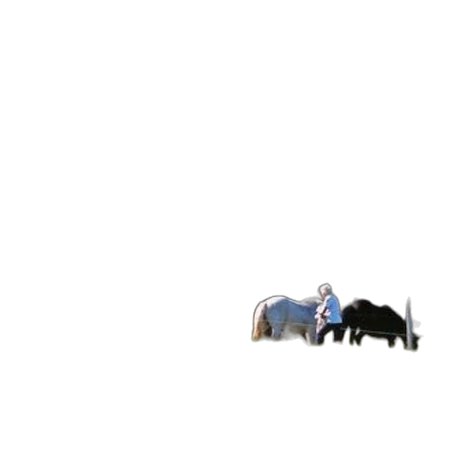 animal, furniture, car, hat transparent PNG cut-out