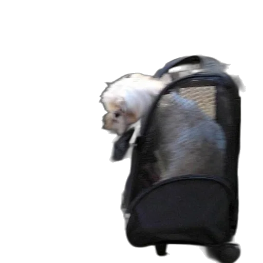 animal, creature, jacket, robot transparent PNG cut-out