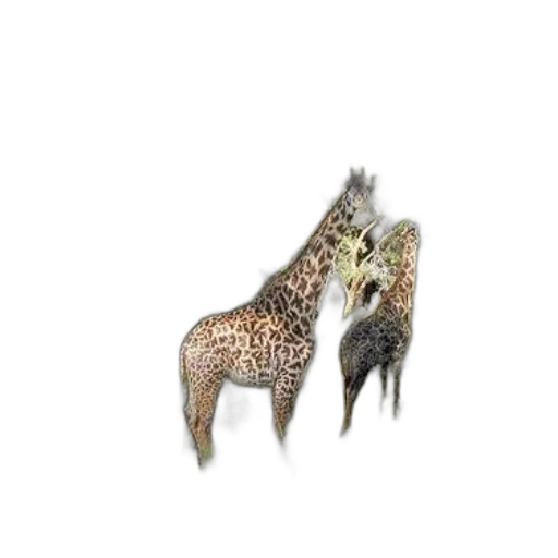 animal, creature, crown, jewelry transparent PNG cut-out