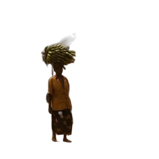 hat, hair, tree, food transparent PNG cut-out