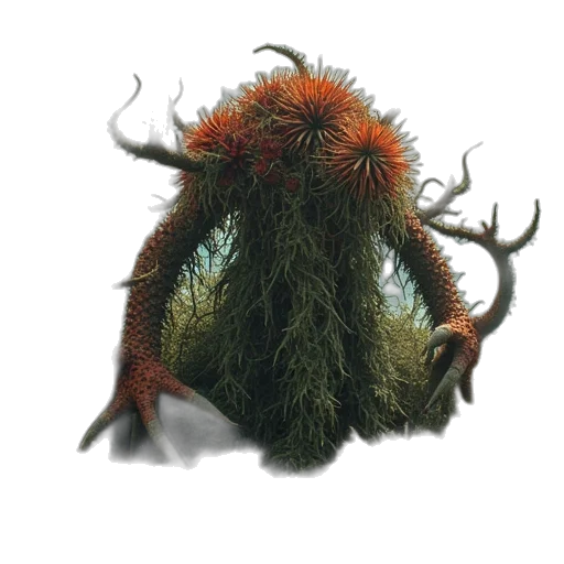 creature, hair, crown, mask transparent PNG cut-out