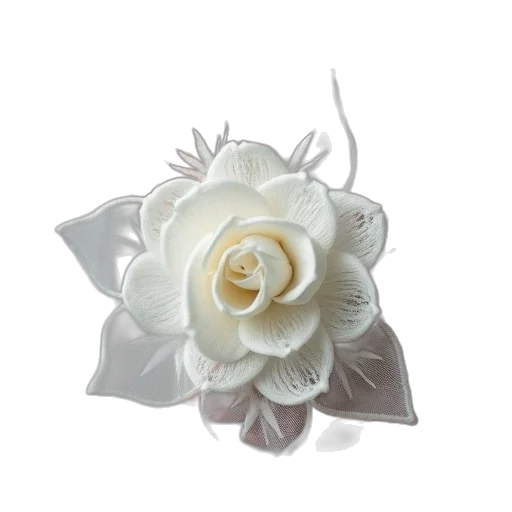 crown, flower, jewelry, hat transparent PNG cut-out