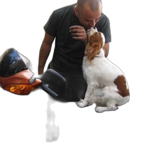 mask, animal, bottle, staff transparent PNG cut-out