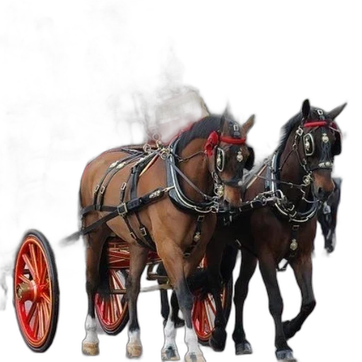 staff, animal, car, weapon transparent PNG cut-out