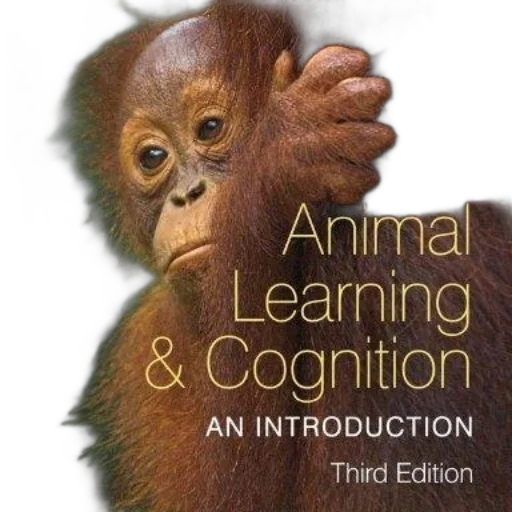animal, learning, cognition, introduction transparent PNG cut-out