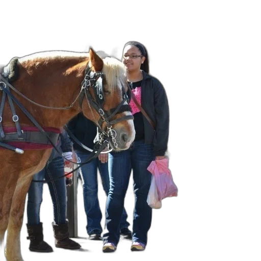 staff, woman, black, jacket transparent PNG cut-out