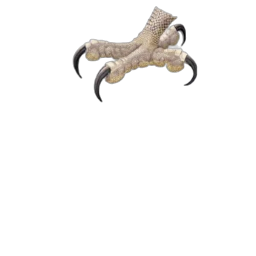staff, dragon, creature, animal transparent PNG cut-out