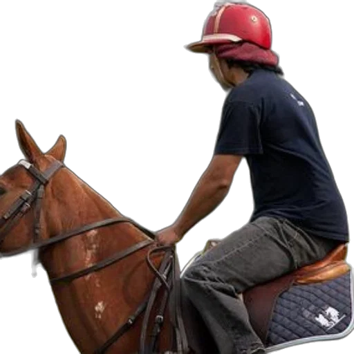 hat, animal, photorealistic, person transparent PNG cut-out