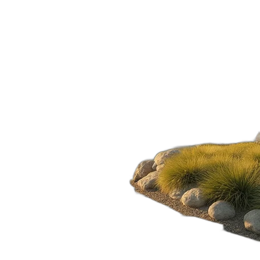 shoes, crown, tree, creature transparent PNG cut-out