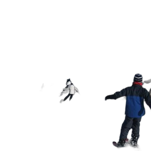concept art, 3d render, pixel art, photorealistic transparent PNG cut-out