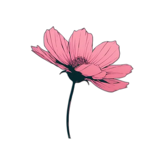 flower, crown, hat, weapon transparent PNG cut-out