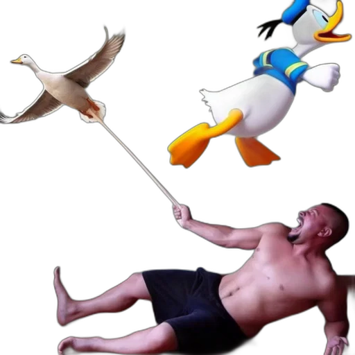 animal, weapon, staff, creature transparent PNG cut-out