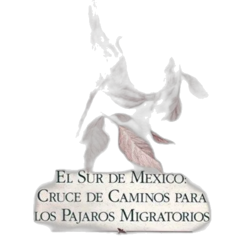 image, book, cover, title transparent PNG cut-out
