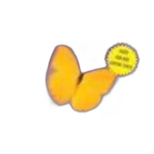 flower, food, animal, weapon transparent PNG cut-out