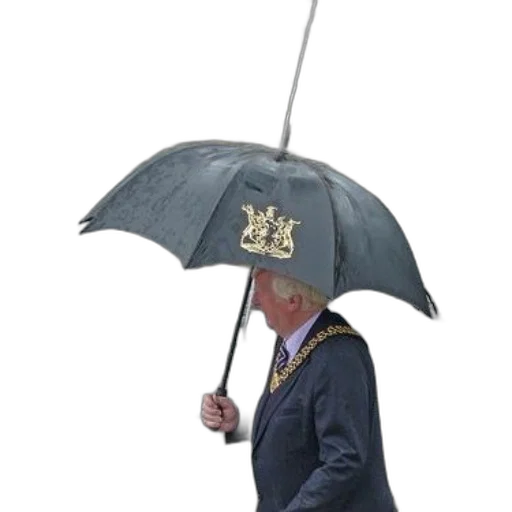 umbrella, crown, hat, staff transparent PNG cut-out
