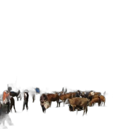 animal, creature, hair, weapon transparent PNG cut-out