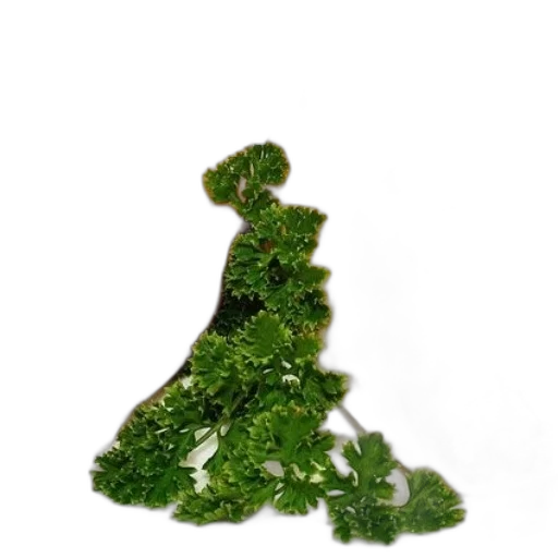 crown, dress, tree, staff transparent PNG cut-out