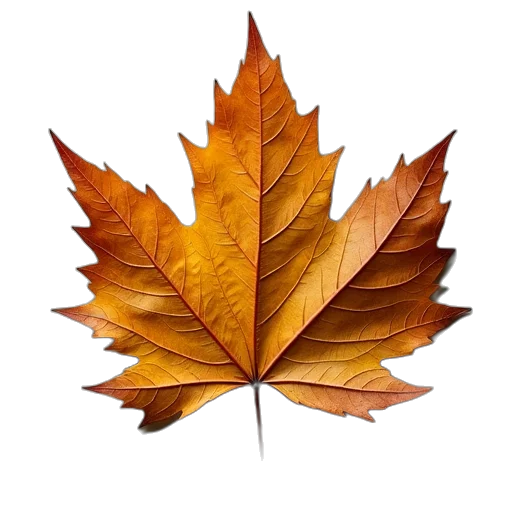 crown, tree, photorealistic, earth tones transparent PNG cut-out